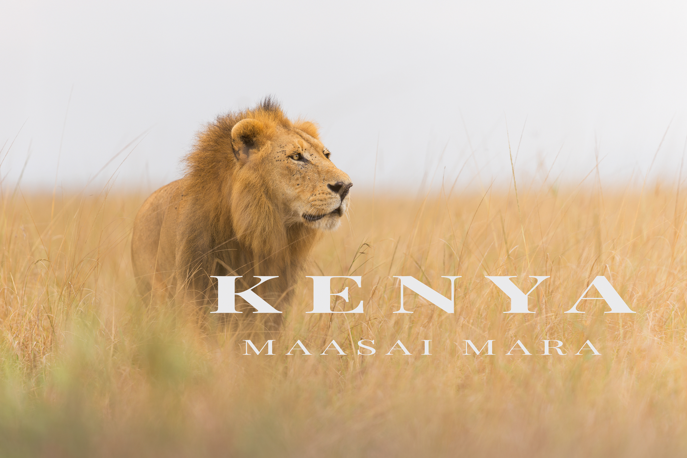 Kenya